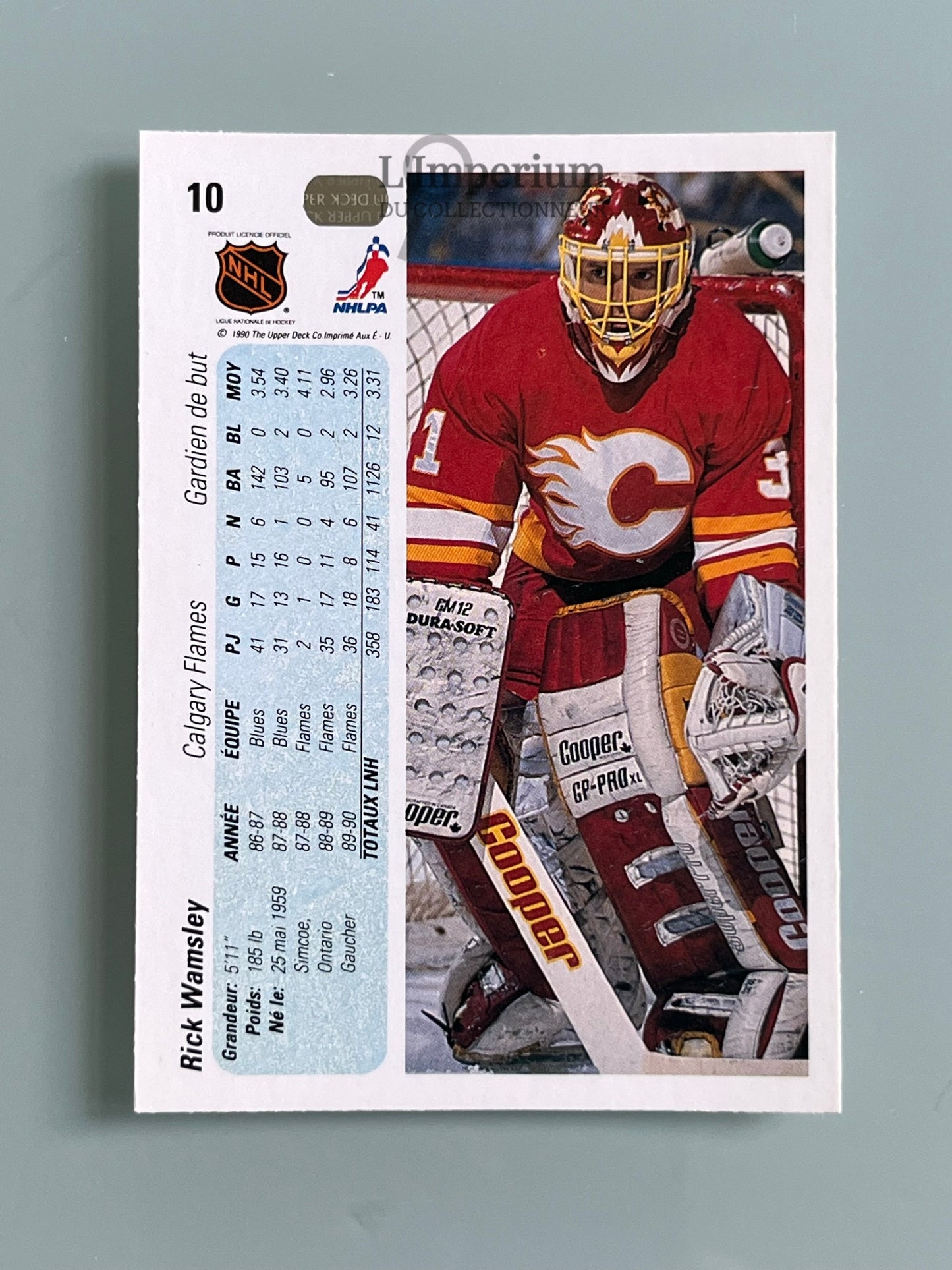 10. Rick Wamsley Upper Deck 1990-91 French Hockey Card