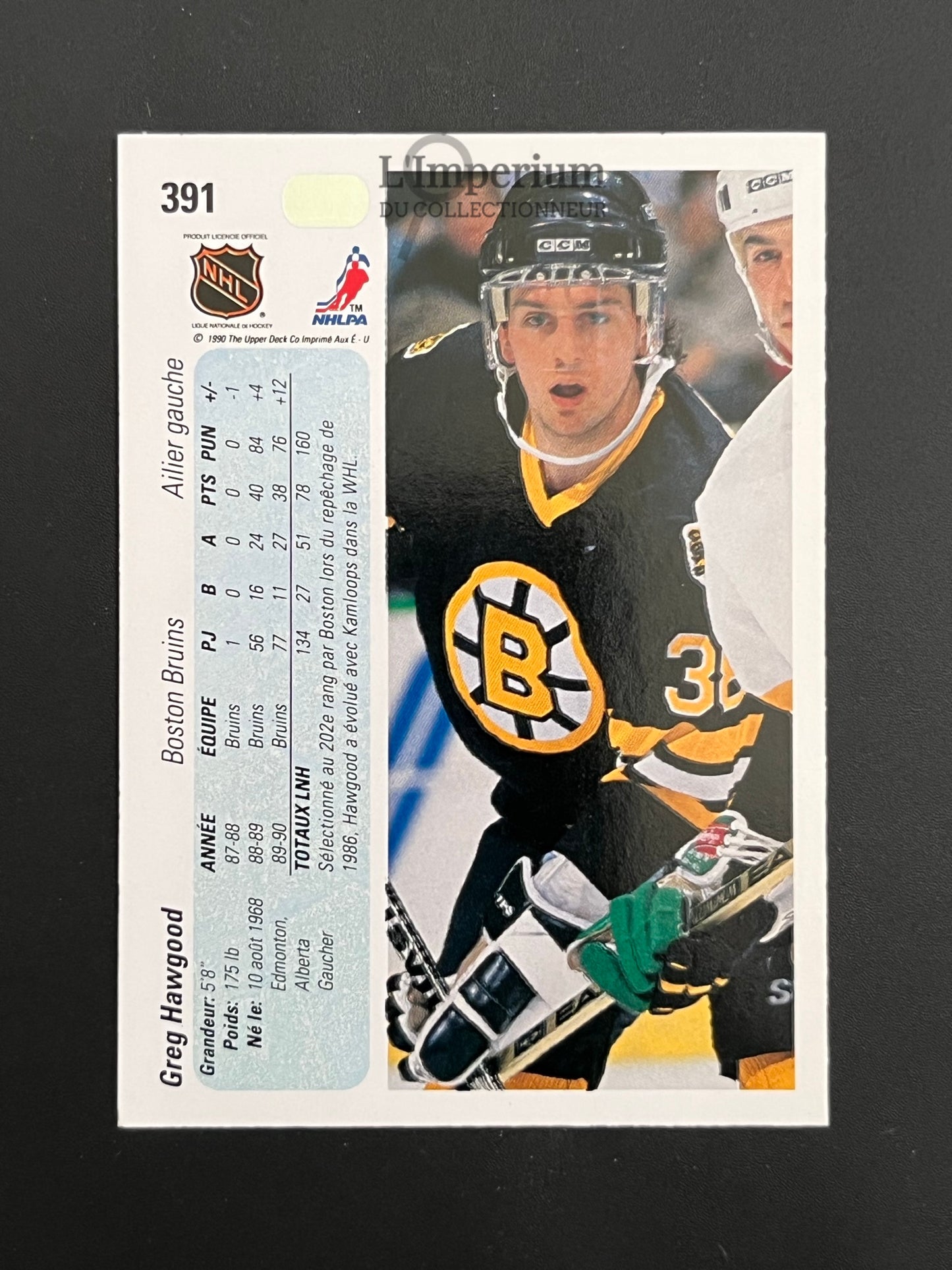 391. Greg Hawgood Upper Deck 1990-91 French Hockey Card