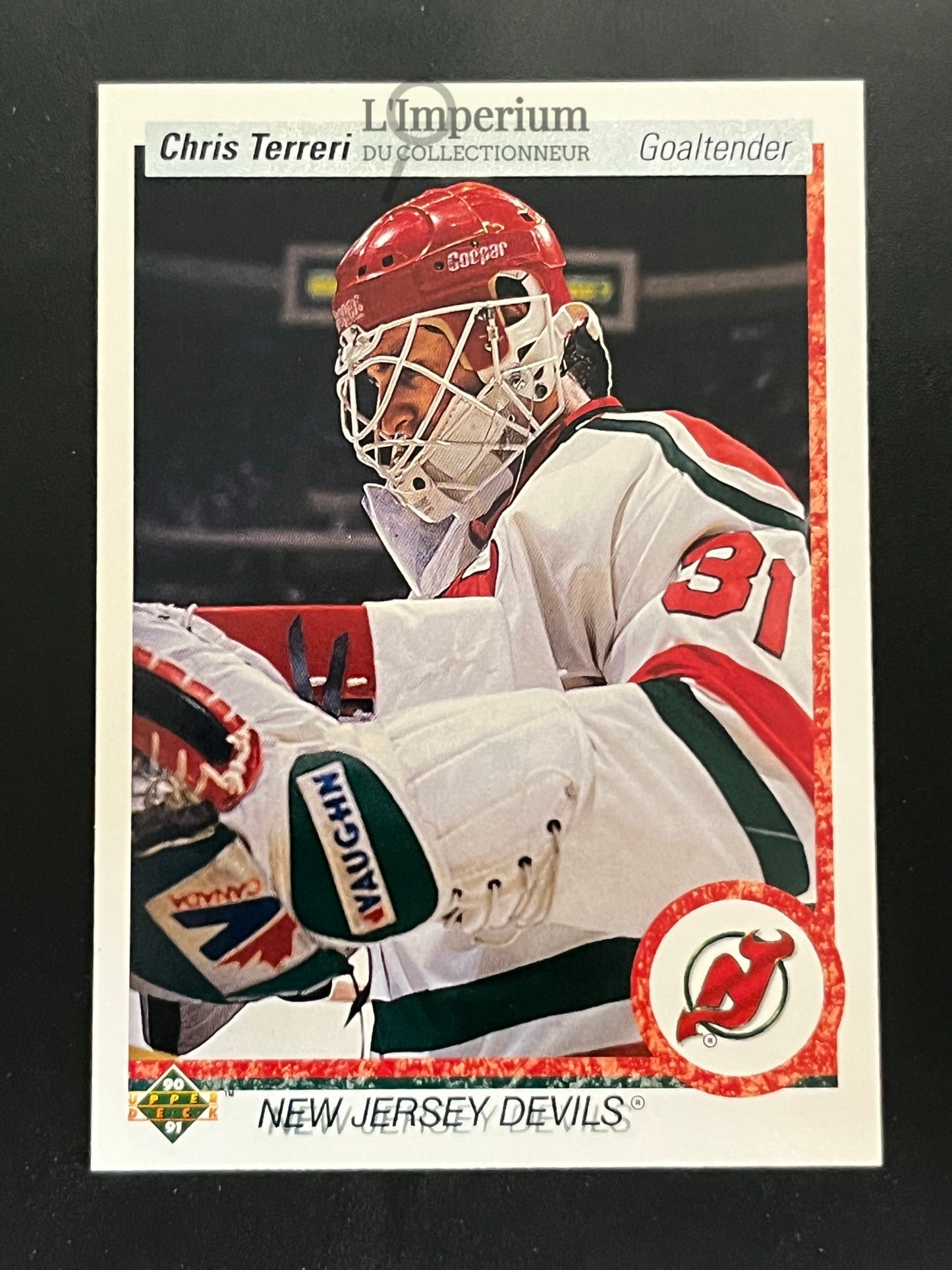183. Chris Terreri RC Upper Deck 1990-91 Hockey Card