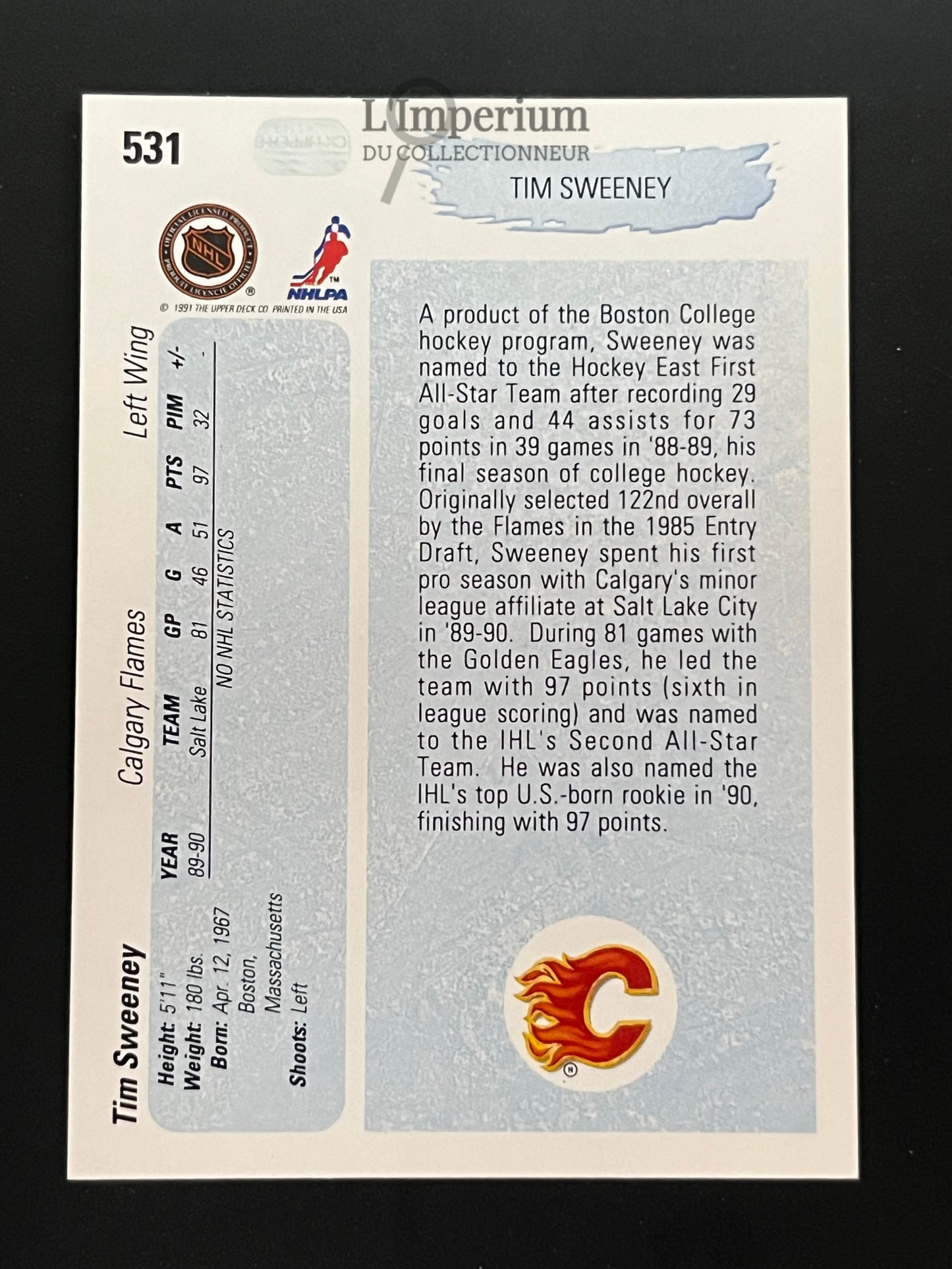 531. Tim Sweeney YG, RC Upper Deck 1990-91 Hockey Card