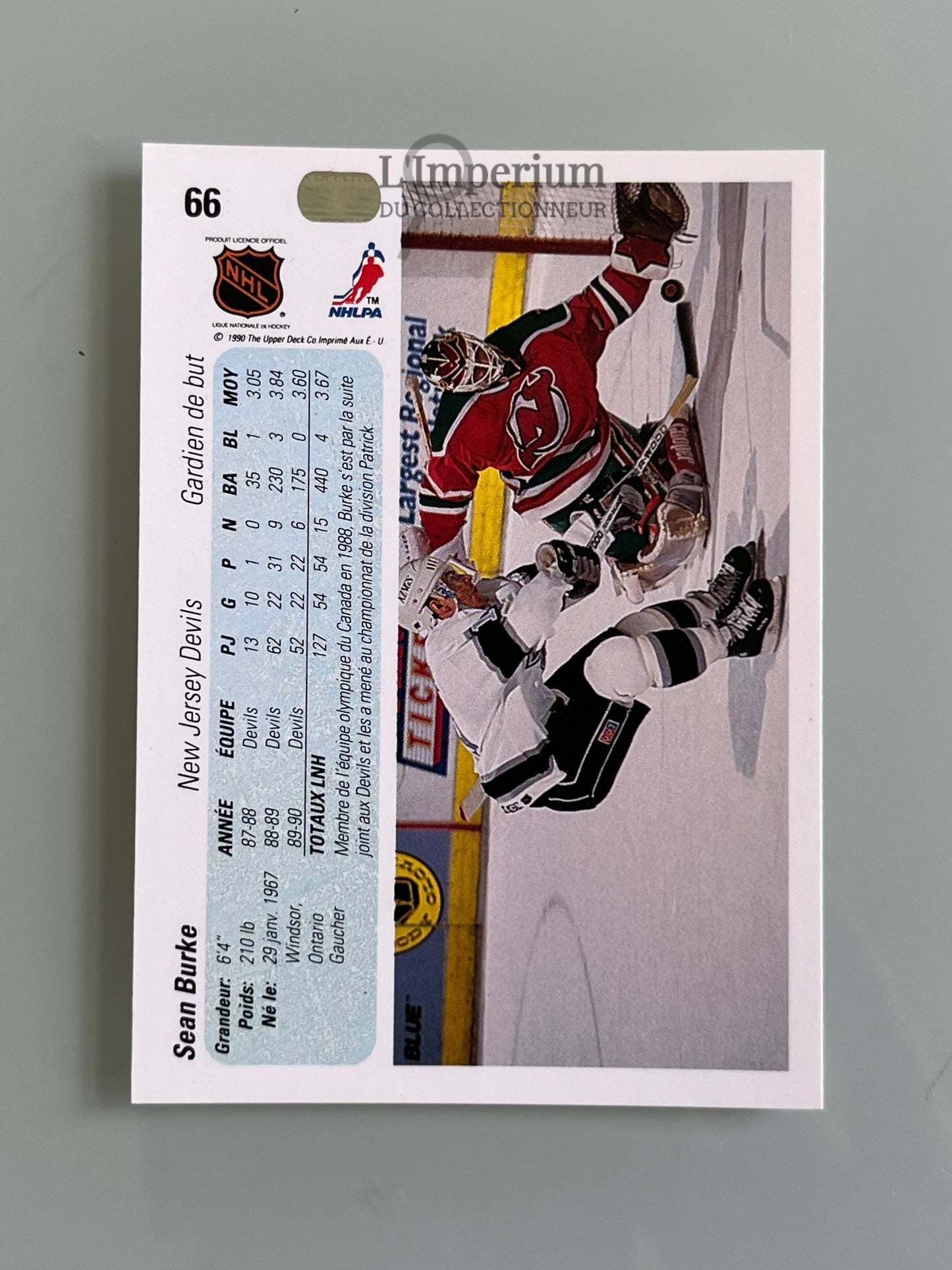 66. Sean Burke Upper Deck 1990-91 French Hockey Card