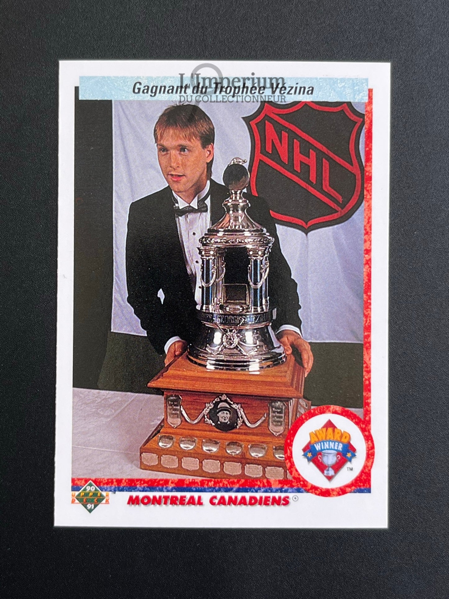 207. Patrick Roy (Vezina) Upper Deck 1990-91 French Hockey Card