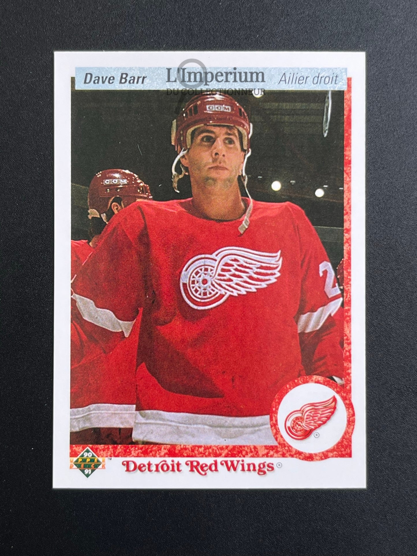 257. Dave Barr Upper Deck 1990-91 French Hockey Card
