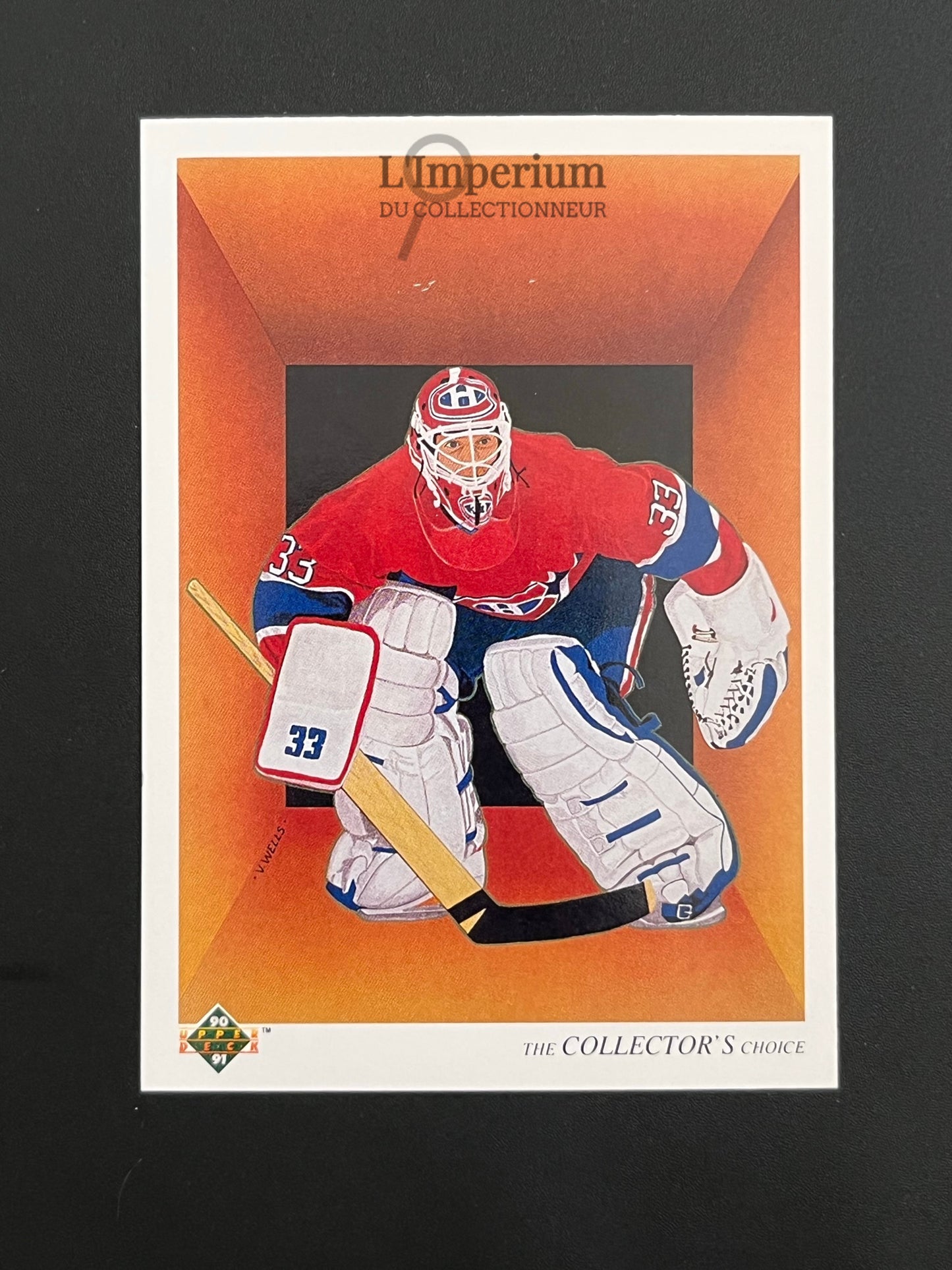 317. Patrick Roy TC Upper Deck 1990-91 French Hockey Card